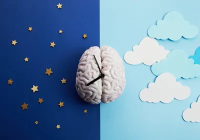 Artistic representation of a brain depicted as a clock on a background with one half in dark blue with yellow stars and one half in light blue with clouds.